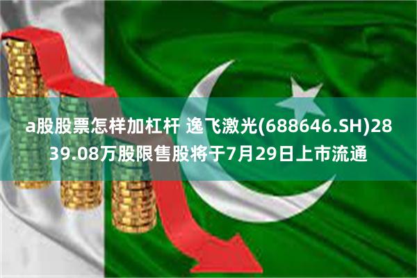 a股股票怎样加杠杆 逸飞激光(688646.SH)2839.08万股限售股将于7月29日上市流通