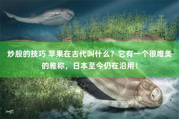 炒股的技巧 苹果在古代叫什么？它有一个很唯美的雅称，日本至今仍在沿用！