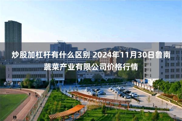 炒股加杠杆有什么区别 2024年11月30日鲁南蔬菜产业有限公司价格行情