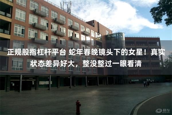 正规股指杠杆平台 蛇年春晚镜头下的女星！真实状态差异好大，整没整过一眼看清