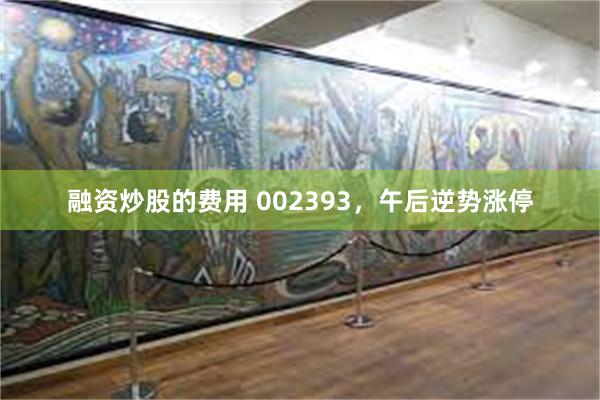 融资炒股的费用 002393，午后逆势涨停