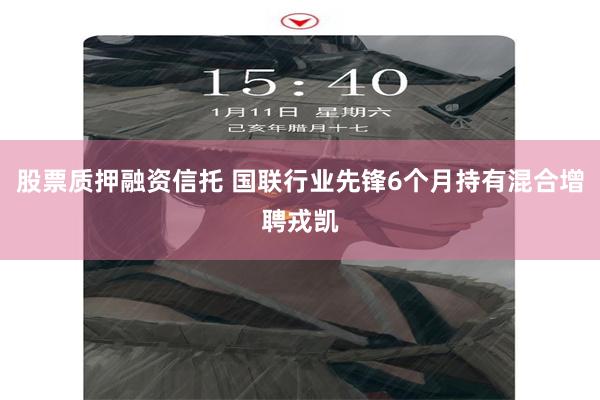 股票质押融资信托 国联行业先锋6个月持有混合增聘戎凯