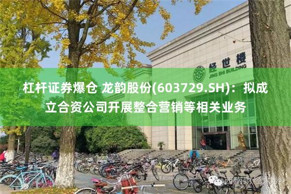 杠杆证券爆仓 龙韵股份(603729.SH)：拟成立合资公司开展整合营销等相关业务