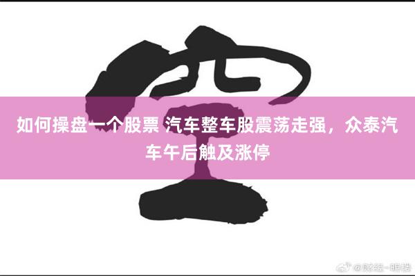 如何操盘一个股票 汽车整车股震荡走强，众泰汽车午后触及涨停