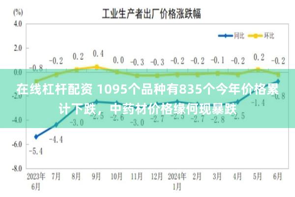 在线杠杆配资 1095个品种有835个今年价格累计下跌，中药材价格缘何现暴跌