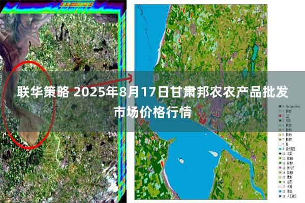 联华策略 2025年8月17日甘肃邦农农产品批发市场价格行情
